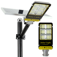 Industrial Intelligent Separated Solar Street Lights